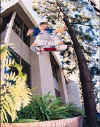 ollie trick tip.jpg (28804 bytes)